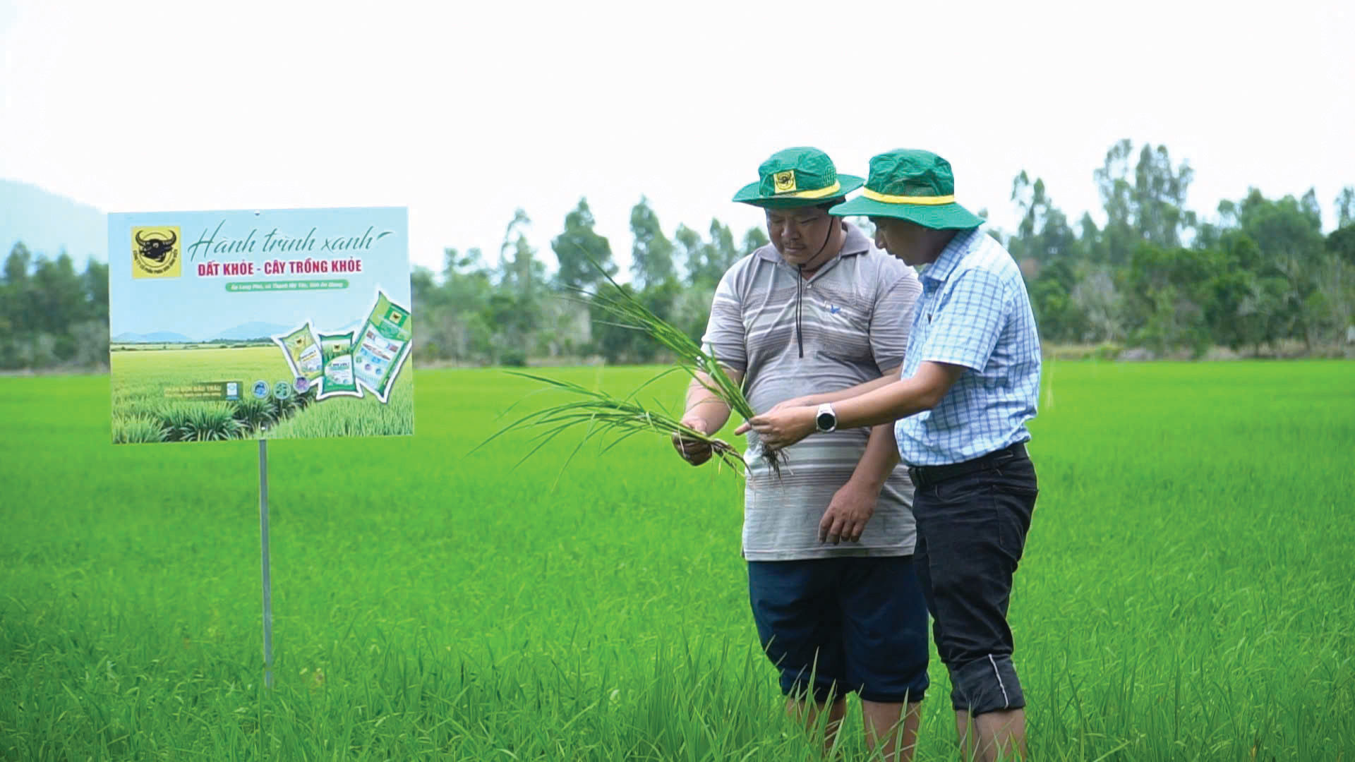 Làm giàu nhờ đổi mới tư duy trên vùng đất phèn